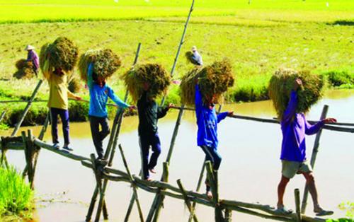 ຫວຽດນາມຈັດຕັ້ງເວທີປາໄສສະພາບແວດລ້ອມດຳເນີນທຸລະກິດສະບຽງອາຫານແລະກະສິກຳອາຊຽນ